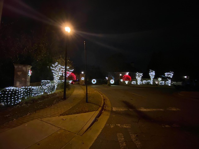 Front yard shrubs and walkway outlined with Christmas lighting