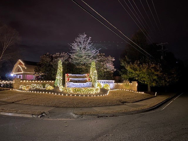 Large trees wrapped in warm string lighting in a residential landscape